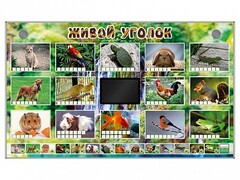 Комплект оборудования "Живой уголок" (животные) - fgospostavki.ru - Лесной