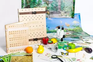 Учебно-методический набор для проектной деятельности в ДОО №1–ЕН (химия, биология, анатомия)  - fgospostavki.ru - Лесной