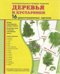 Демонстрационные карточки "Деревья и кустарники" - fgospostavki.ru - Лесной