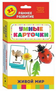 Карточки Домана "Живой мир" - fgospostavki.ru - Лесной