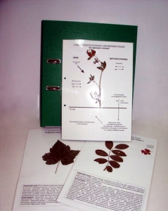 Гербарий к курсу основ общей биологии (20 листов, ламинированный) - fgospostavki.ru - Лесной