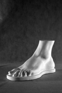 Стопа Геракла (гипс) - fgospostavki.ru - Лесной