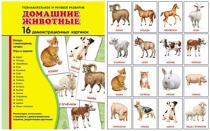 Демонстрационные карточки "Домашние животные" - fgospostavki.ru - Лесной