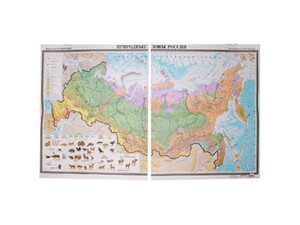 Учебная карта "Природные зоны России"  - fgospostavki.ru - Лесной