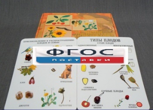 Коллекция "Семена и плоды" - fgospostavki.ru - Лесной