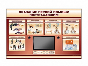 Многофункциональный интерактивный стенд-тренажер "Оказание первой помощи пострадавшим" для учащихся общеобразовательных учреждений - fgospostavki.ru - Лесной