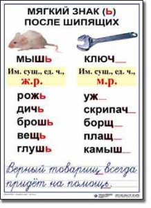 Комплект таблиц по русскому языку для начальной школы. Русский язык 3 класс - fgospostavki.ru - Лесной