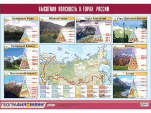 Таблица демонстрационная "Высотная поясность в горах России" (винил 70*100) - fgospostavki.ru - Лесной