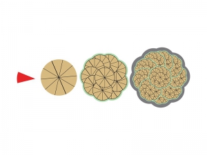 Магнитная математика Наталии Пятибратовой (Числовые фигуры) - fgospostavki.ru - Лесной