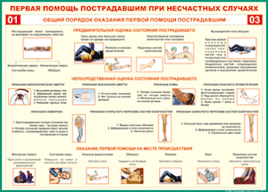 Таблица "Общий порядок оказания первой помощи пострадавшим" (100х140 сантиметров, винил) - fgospostavki.ru - Лесной