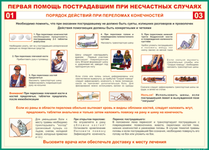 Таблица "Порядок действий при переломах конечностей" (100х140 сантиметров, винил) - fgospostavki.ru - Лесной