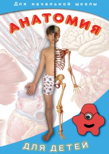 DVD "Анатомия для детей" - fgospostavki.ru - Лесной