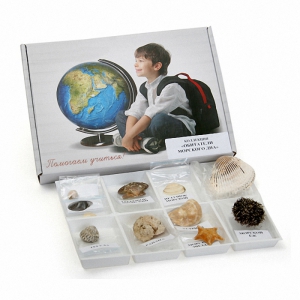 Коллекция "Обитатели морского дна" - fgospostavki.ru - Лесной