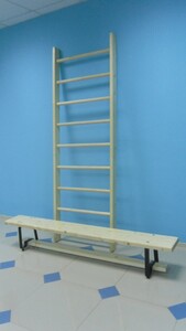 Стенка гимнастическая шведская премиум (1000х3200 мм) - fgospostavki.ru - Лесной