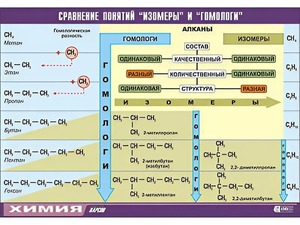 Таблица демонстрационная "Сравнение понятий изомер и гомолог" (винил 70x100) - fgospostavki.ru - Лесной