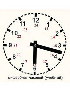 Часовой циферблат раздаточный - fgospostavki.ru - Лесной