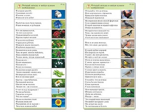 Комплект карточек (10) "Обучающий калейдоскоп. Природа" - fgospostavki.ru - Лесной