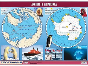 Таблица демонстрационная "Арктика и Антарктика" (винил 100*140) - fgospostavki.ru - Лесной
