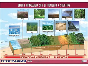 Таблица демонстрационная "Смена природных зон от полюсов к экватору" (винил 70*100) - fgospostavki.ru - Лесной