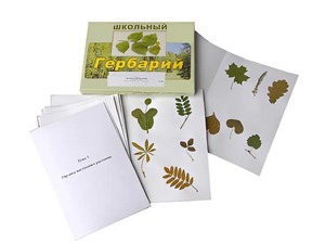 Гербарий "Морфология растений" (6 тем, 30 видов) - fgospostavki.ru - Лесной