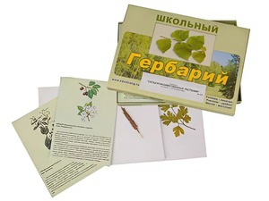 Гербарий "Сельскохозяйственные растения" (30 видов, с иллюстрациями) - fgospostavki.ru - Лесной
