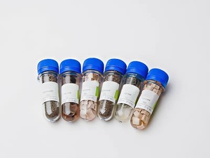 Набор № 6 ОС Щелочные и щелочноземельные металлы - fgospostavki.ru - Лесной