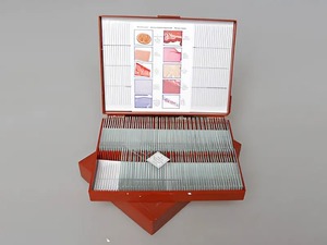 Комплект микропрепаратов "Анатомия" - fgospostavki.ru - Лесной