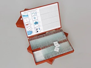 Комплект микропрепаратов "Ботаника 1" - fgospostavki.ru - Лесной