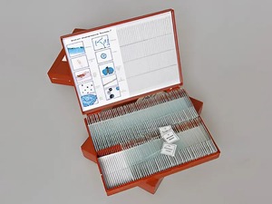 Комплект микропрепаратов "Ботаника 2" - fgospostavki.ru - Лесной