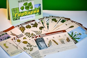 Гербарий к курсу основ общей биологии - fgospostavki.ru - Лесной