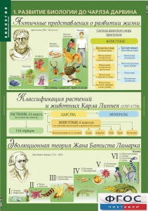 Комплект таблиц. Биология 10-11 класс. Эволюционное учение. - fgospostavki.ru - Лесной