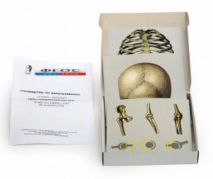 Модель-аппликация "Типы соединения костей" (набор из 7 карт) - fgospostavki.ru - Лесной