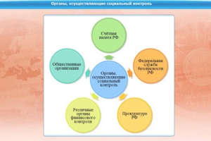 Интерактивные курсы. Обществознание 10 класс. Базовый - fgospostavki.ru - Лесной
