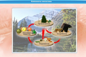 Интерактивные курсы. Биология 7 класс. Базовый. - fgospostavki.ru - Лесной
