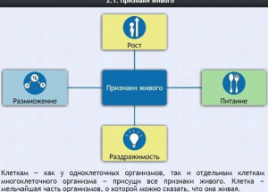 Интерактивные курсы. Биология 5 класс. Базовый - fgospostavki.ru - Лесной