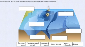Интерактивные курсы. География 7 класс . Базовый. - fgospostavki.ru - Лесной