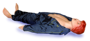 Робот-тренажер «Гоша-01» базовая комплектация (Модель 2010 года) - fgospostavki.ru - Лесной