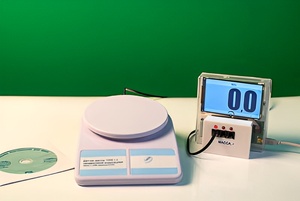 Датчик массы 1000 г с независимой индикацией (весы с USB-переходником) - fgospostavki.ru - Лесной