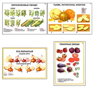 Плакаты ПРОФТЕХ "Ассортимент овощных культур" (12 пл, винил, 70х100) - fgospostavki.ru - Лесной
