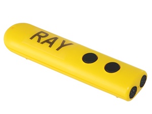 Электронная трость Ray - fgospostavki.ru - Лесной