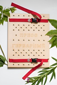 Пресс гербарный (сетка) - fgospostavki.ru - Лесной