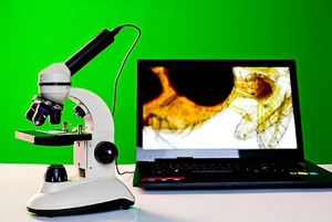Микроскоп школьный с цифровой камерой - fgospostavki.ru - Лесной