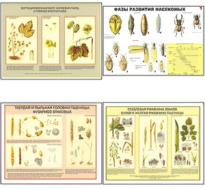Плакаты ПРОФТЕХ "Вредители и болезни с/х культур и меры борьбы с ними" (11 пл, винил, 70х100) - fgospostavki.ru - Лесной
