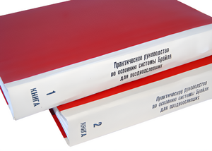 Практическое руководство по освоению системы Брайля для поздноослепших в 2-х книгах - fgospostavki.ru - Лесной