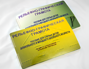 Пособие для слабовидящих детей - Рельефно-графическая грамота для слепых детей дошкольного и младшего школьного возраста - fgospostavki.ru - Лесной