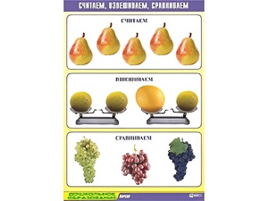 Таблица демонстрационная "Считаем, взвешиваем, сравниваем" (винил 70x100) - fgospostavki.ru - Лесной