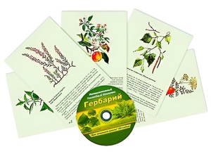 Интерактивный наглядный комплекс "Гербарий "Для начальной школы" - fgospostavki.ru - Лесной