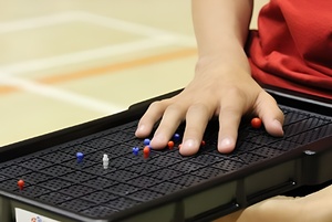 Сетка для игры тактильная (Бочча) - fgospostavki.ru - Лесной