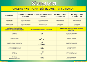 Таблица "Сравнение понятий изомер и гомолог" (100х140 сантиметров, винил) - fgospostavki.ru - Лесной