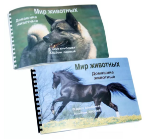 Пособие для слабовидящих - Домашние животные - fgospostavki.ru - Лесной